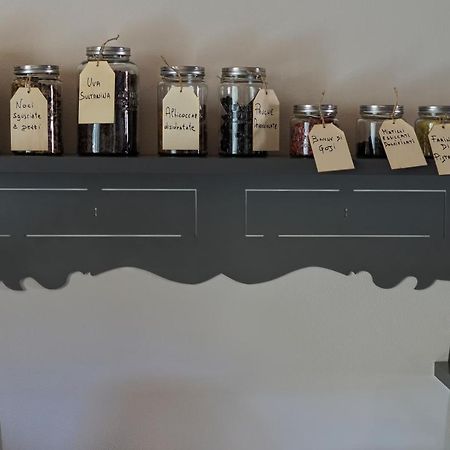 B&B La Taccola Castelnuovo di Val di Cecina Ngoại thất bức ảnh