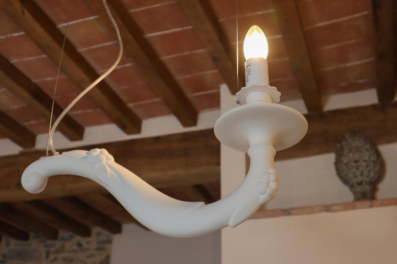 B&B La Taccola Castelnuovo di Val di Cecina Ngoại thất bức ảnh